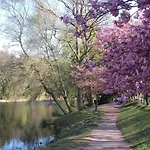 Les Brimbelles By Interhome Hottviller