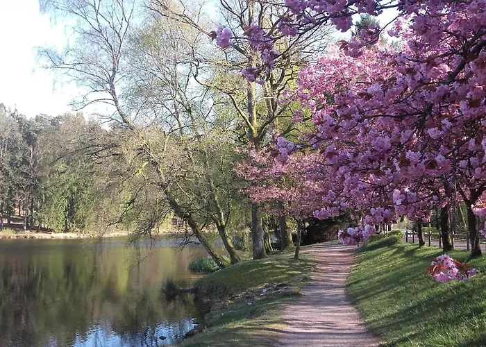 Les Brimbelles By Interhome Hottviller