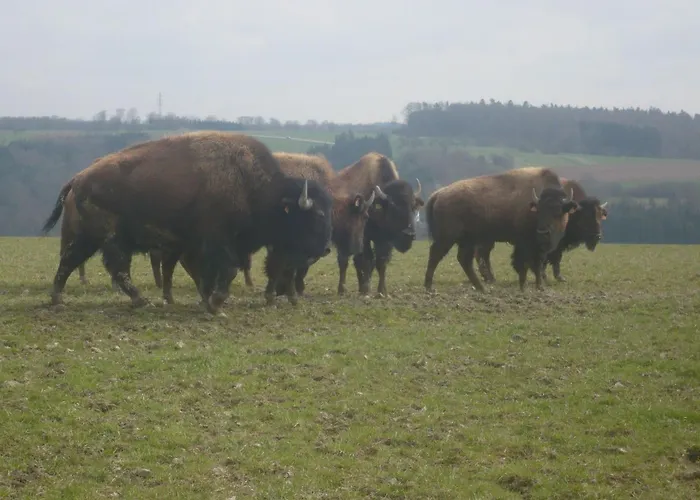 Les Brimbelles By Interhome Apartmán *